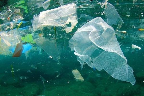 Banning of Plastics